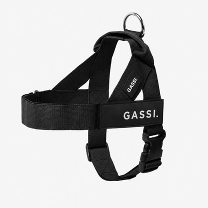 GASSI Zugstopp™ — Das Anti-Zug-Geschirr