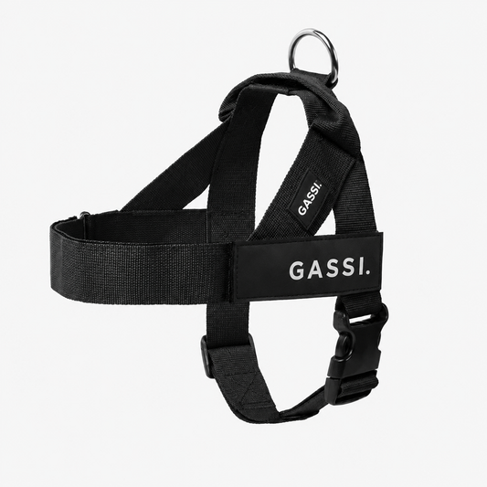 GASSI Zugstopp™ — Das Anti-Zug-Geschirr