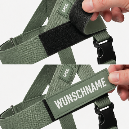 GASSI Zugstopp™ — Das Anti-Zug-Geschirr