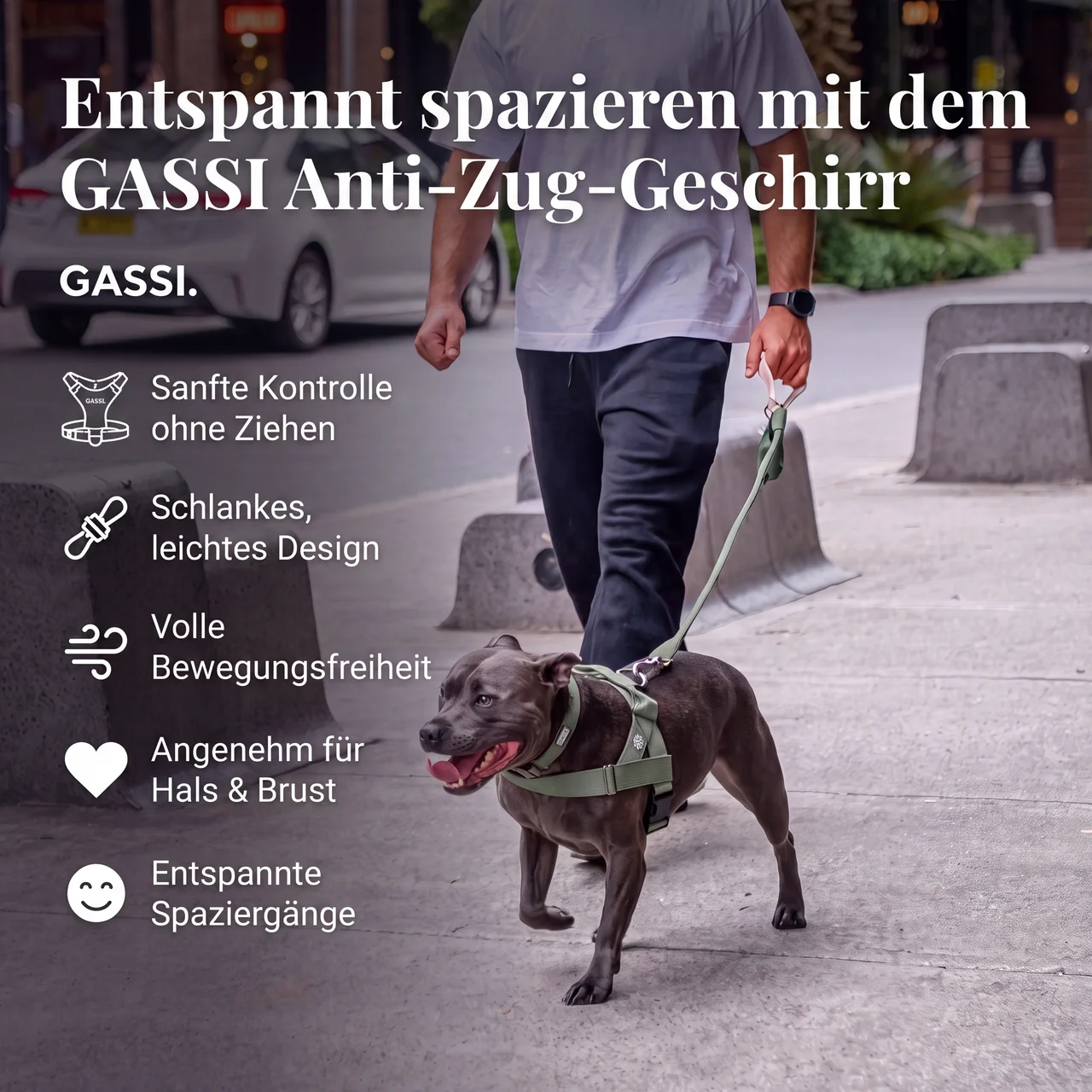 GASSI Zugstopp™ — Das Anti-Zug-Geschirr