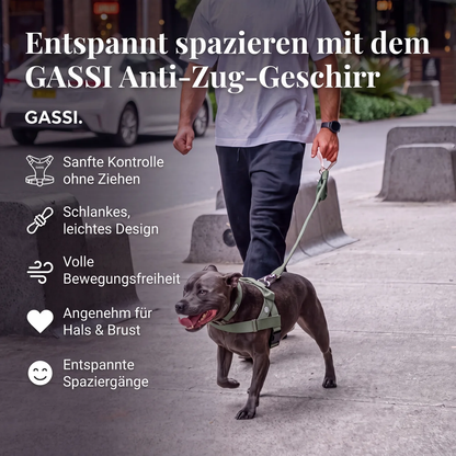GASSI Zugstopp™ — Das Anti-Zug-Geschirr