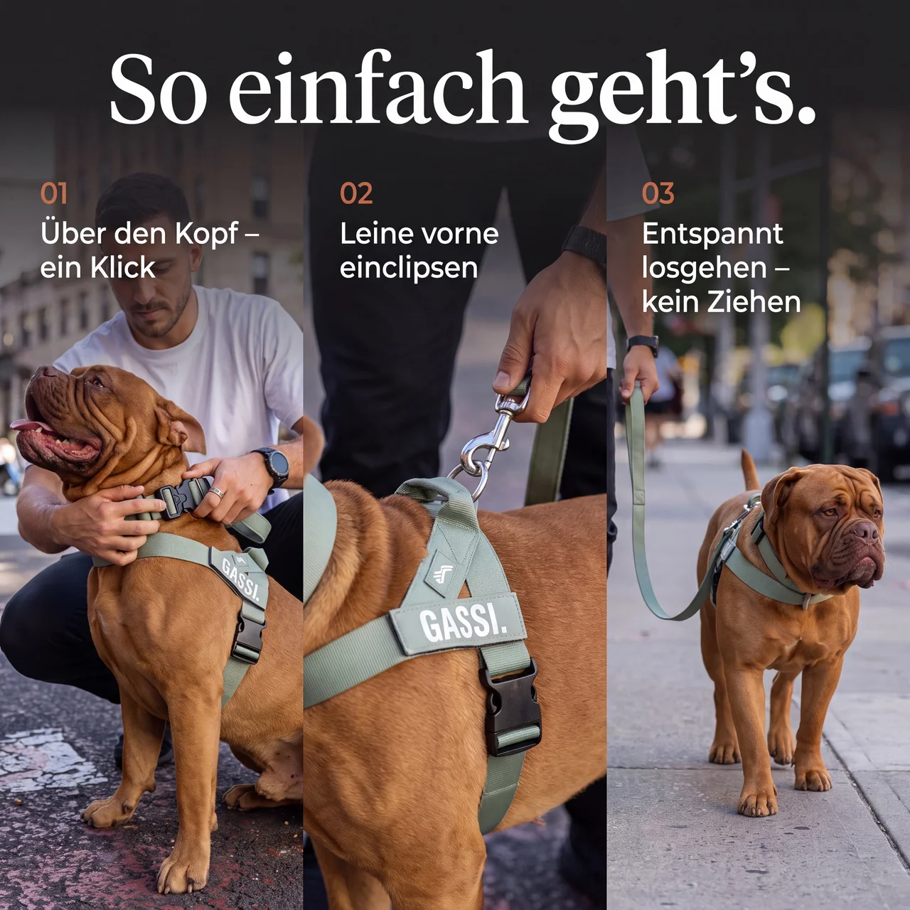 GASSI Zugstopp™ — Das Anti-Zug-Geschirr